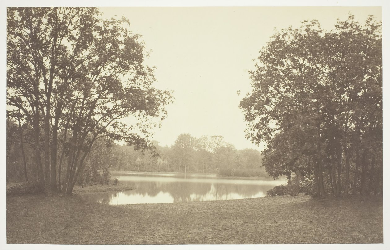Ohne Titel, ca. 1850. [Bäume in der Nähe von Wasser im Bois de Boulogne, einem Park in Paris] von Charles Marville