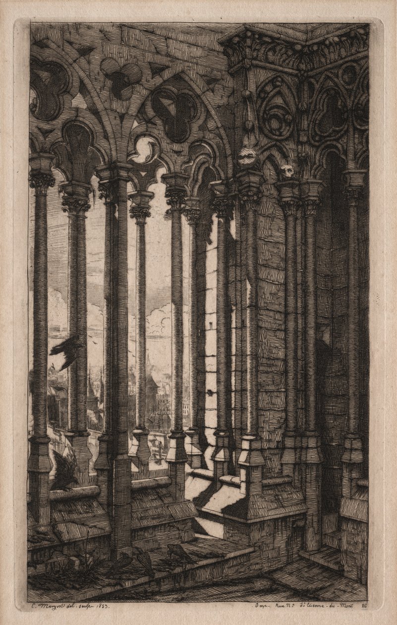 Radierungen von Paris: Die Galerie von Notre Dame von Charles Meryon