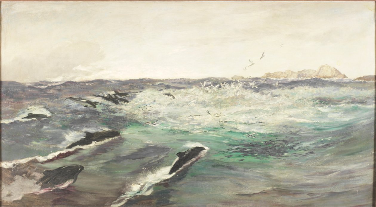 Schweinswale jagen Makrelen von Charles Napier Hemy