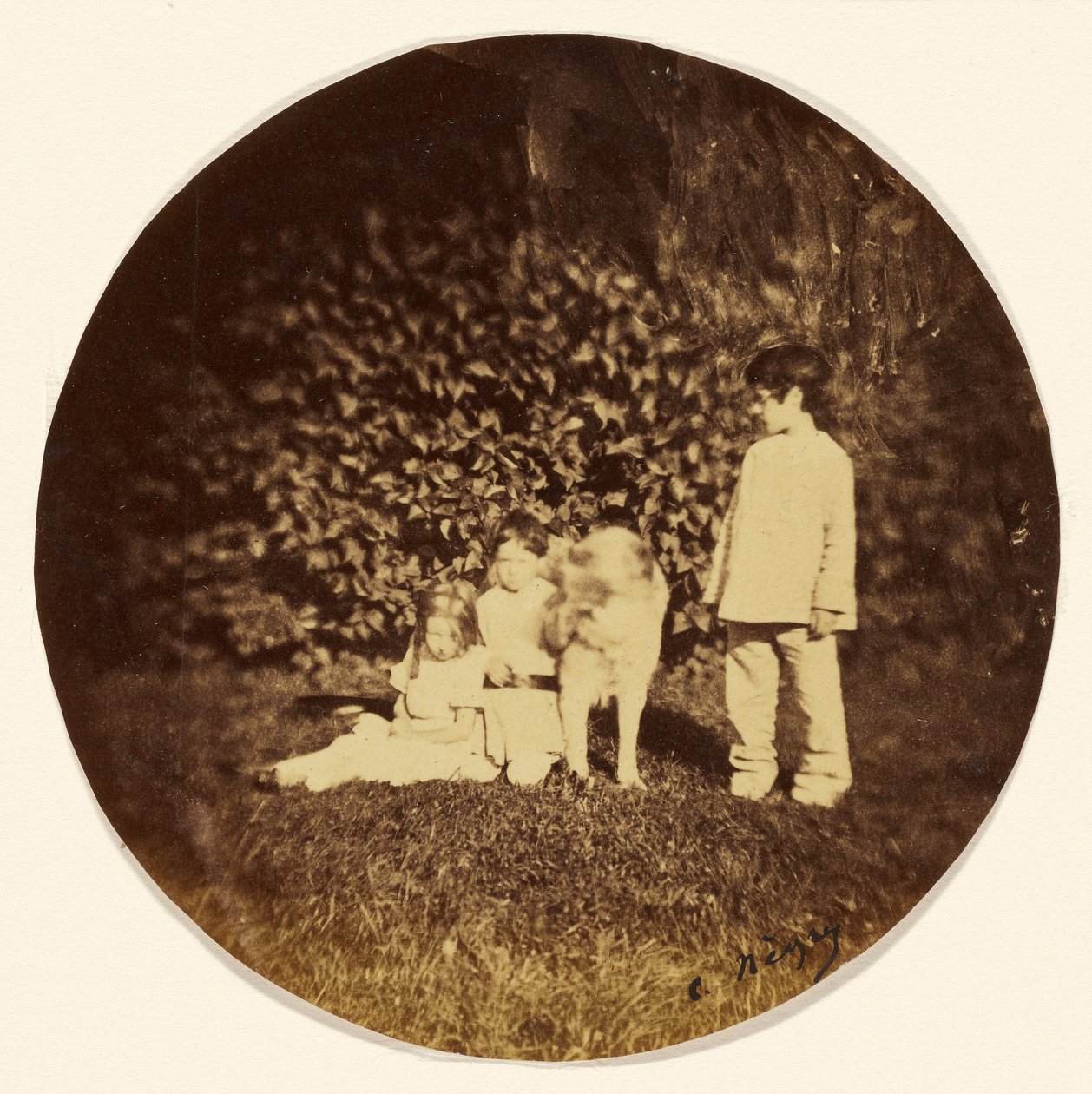 Drei kleine Kinder und ein Hund im Garten von Charles Nègre