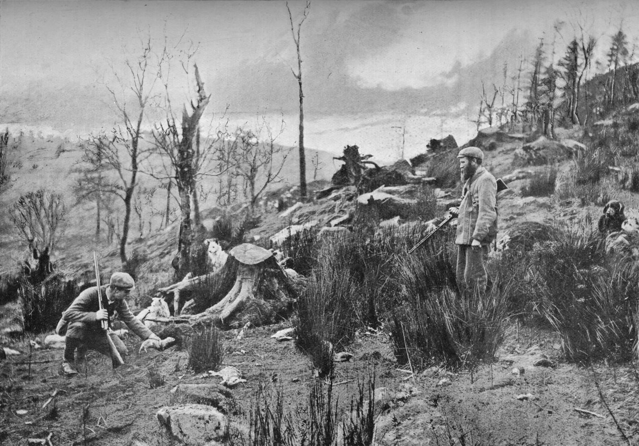Das Einsetzen des Frettchens, ca. 1900, 1903 von Charles Reid