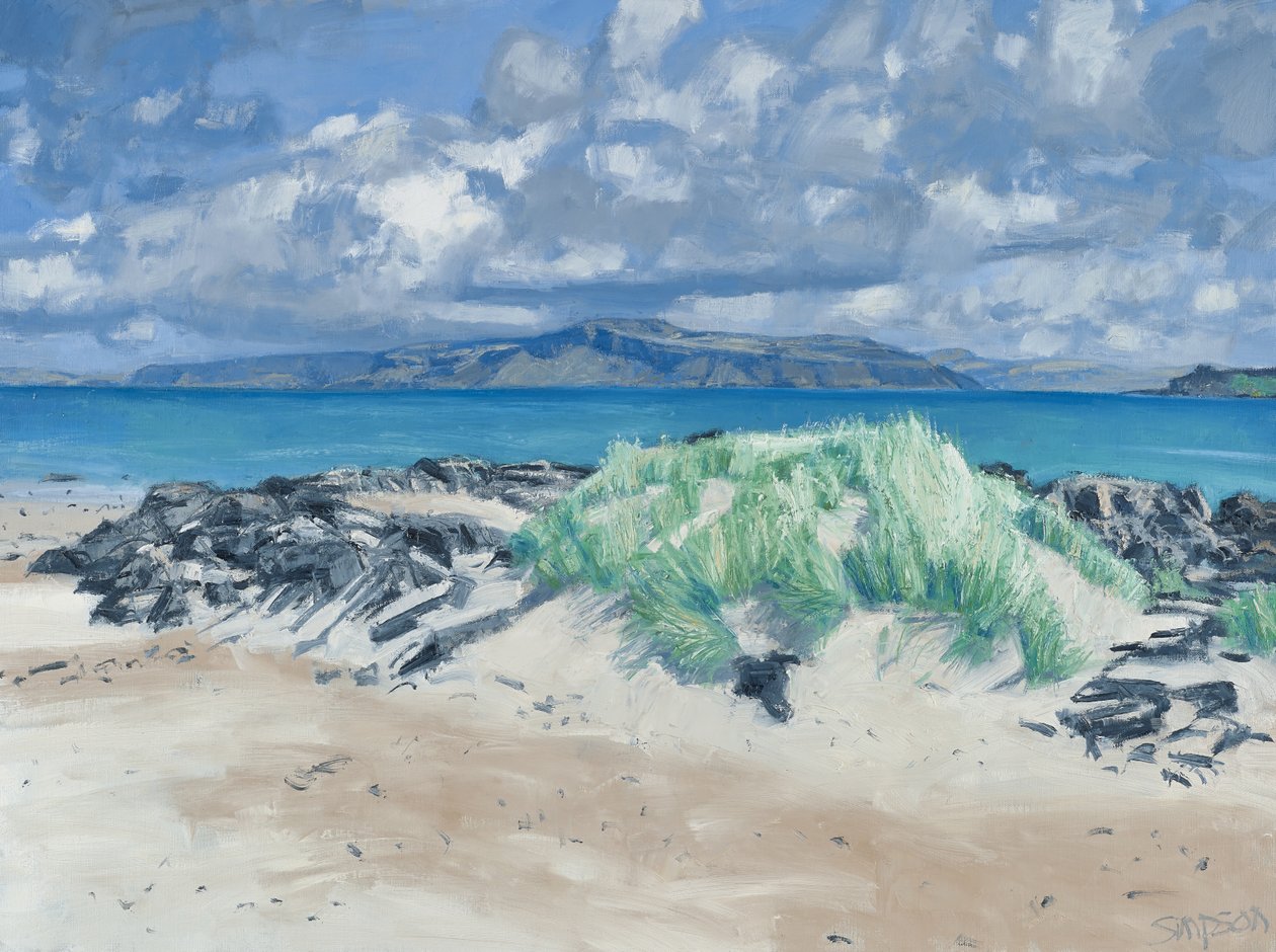 Felsen & Gräser, Iona, 2013 von Charles Simpson