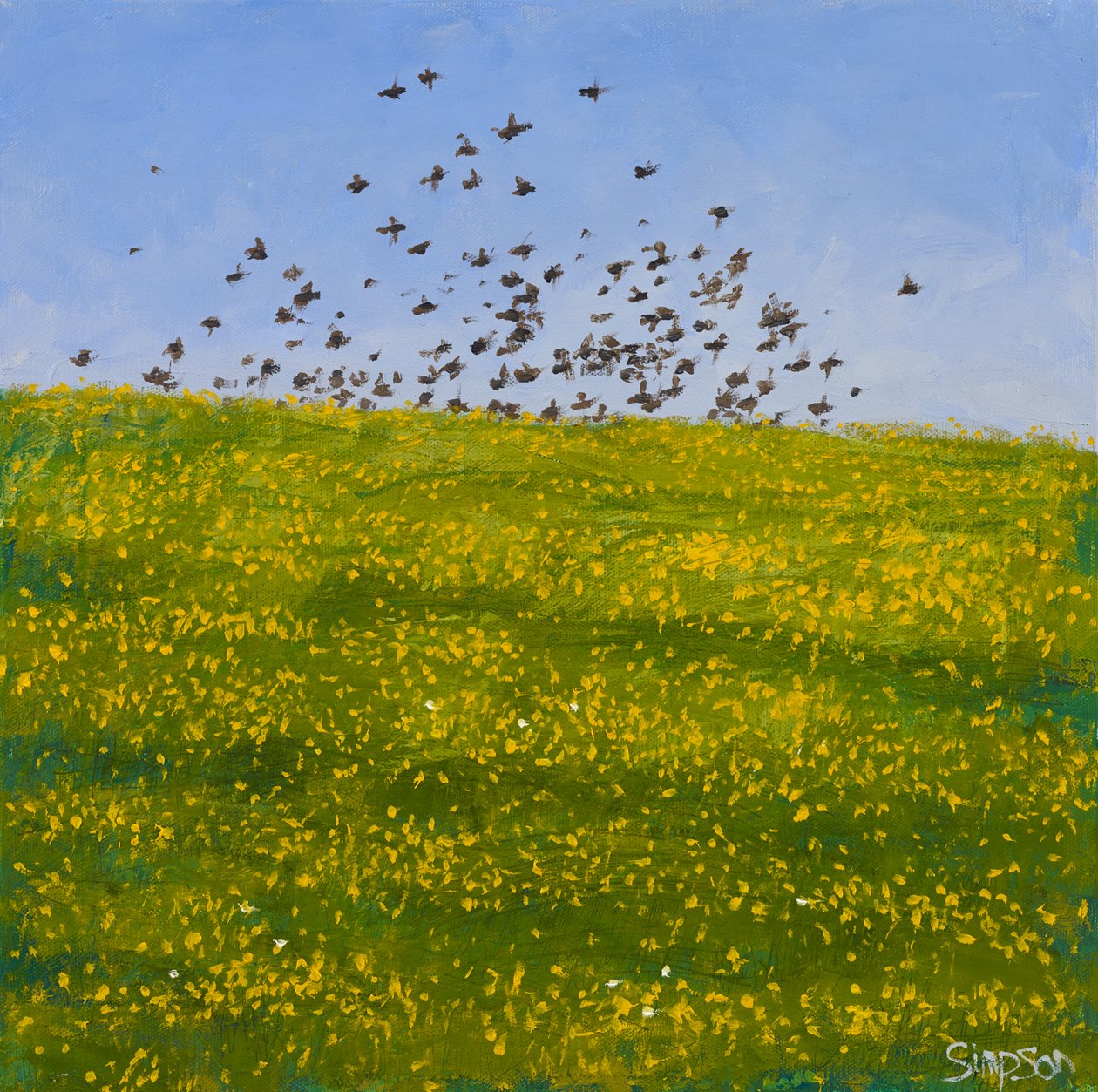 Stare & Butterblumen, Iona, 2015 von Charles Simpson