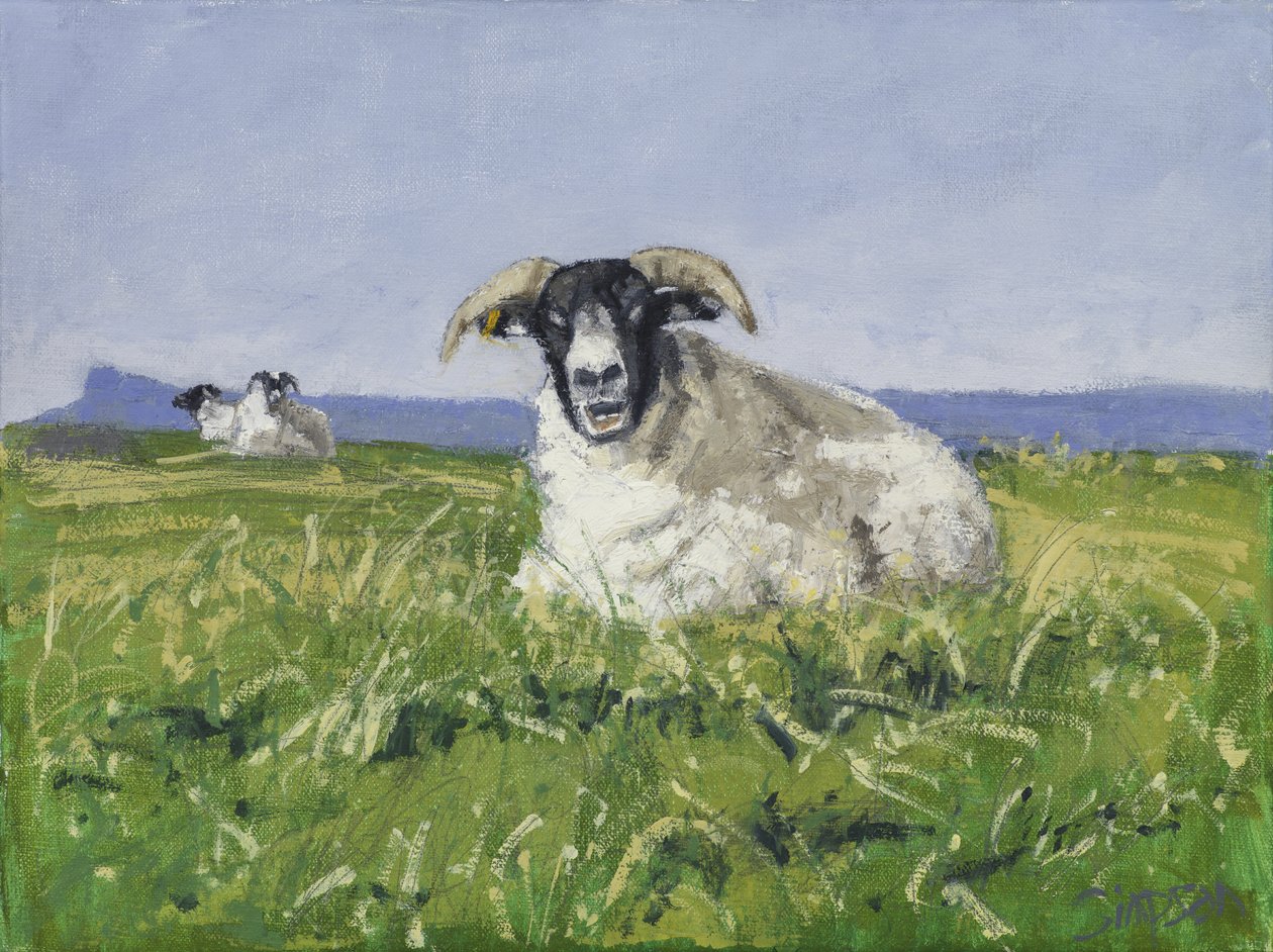 Westküsten-Schafe, 2017 von Charles Simpson