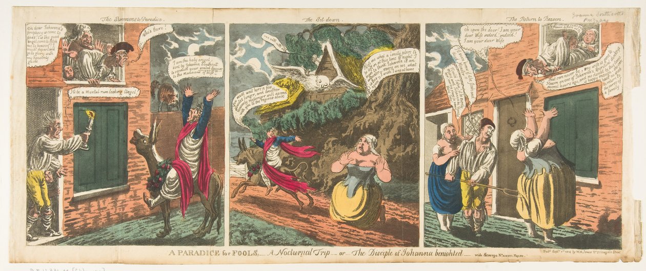 Ein Paradies für Narren - Eine nächtliche Reise - oder Der Jünger von Johanna benigh von Charles Williams