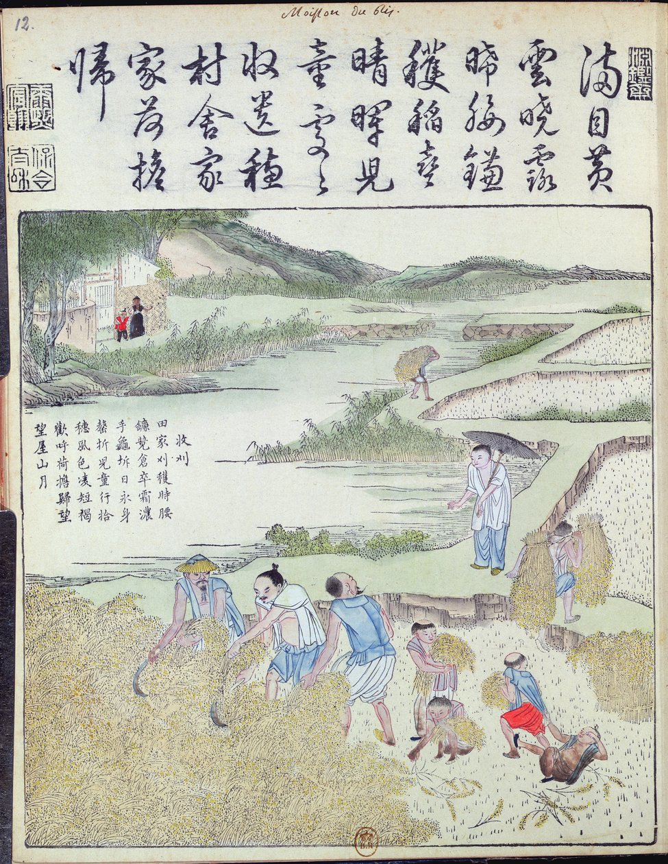 Ernte, Die Reiskultur in China von Chinese School