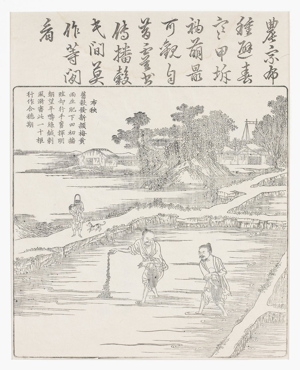 Reis säen in einem Saatbeet, 18. Jahrhundert von Chinese School