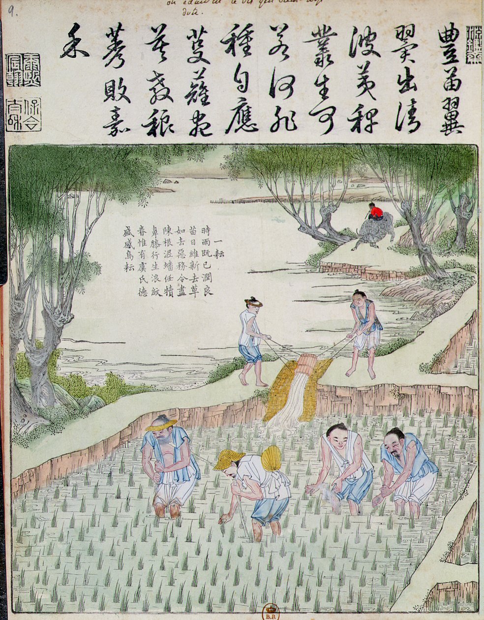 Jäten, Die Reiskultur in China von Chinese School