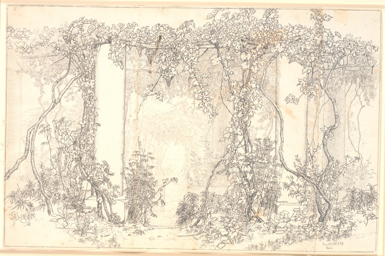 Studie einer Pergola auf Capri von Christen Købke