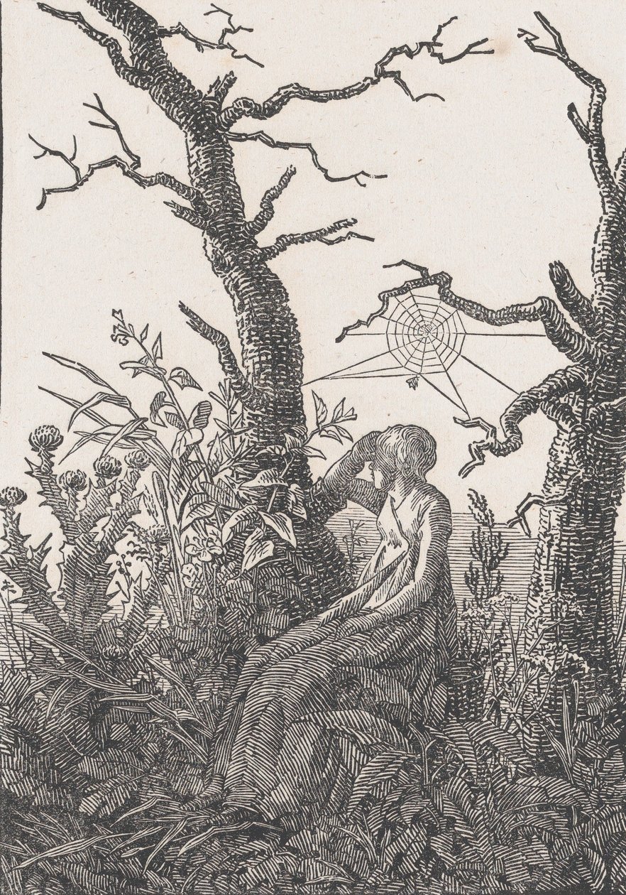 Sitzende Frau mit einem Spinnennetz von Christian Friedrich