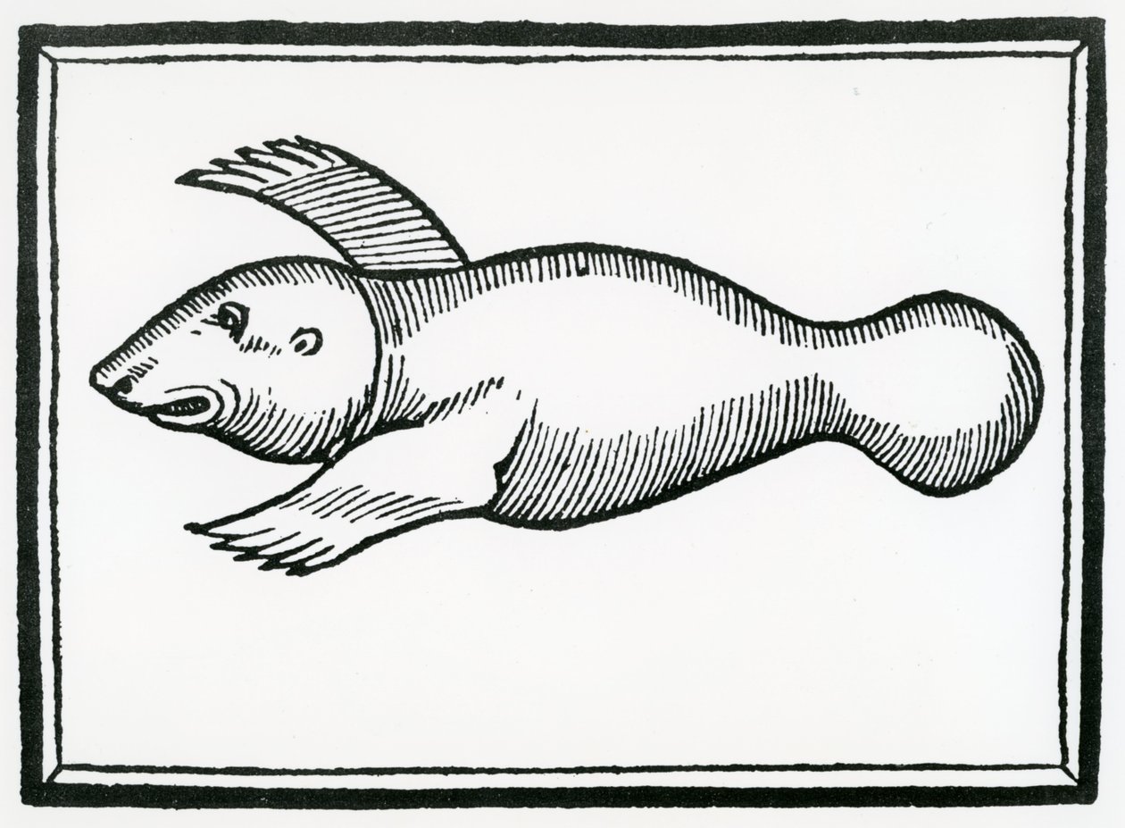 Ein Fisch namens 
