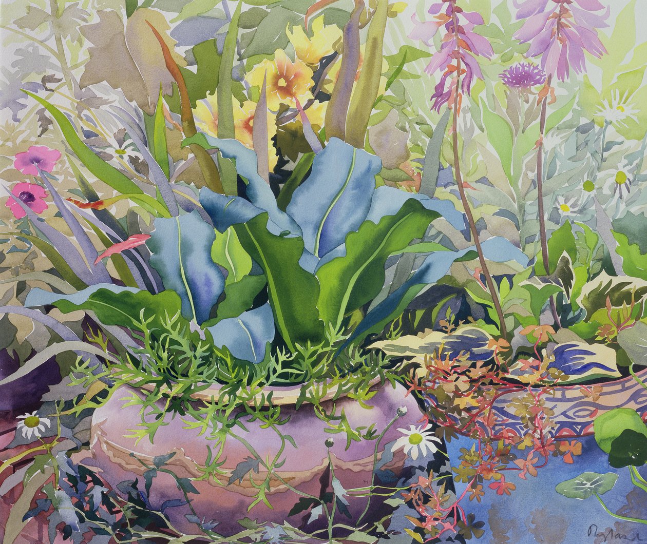 Garten mit Pflanzen, 2000 von Christopher Ryland