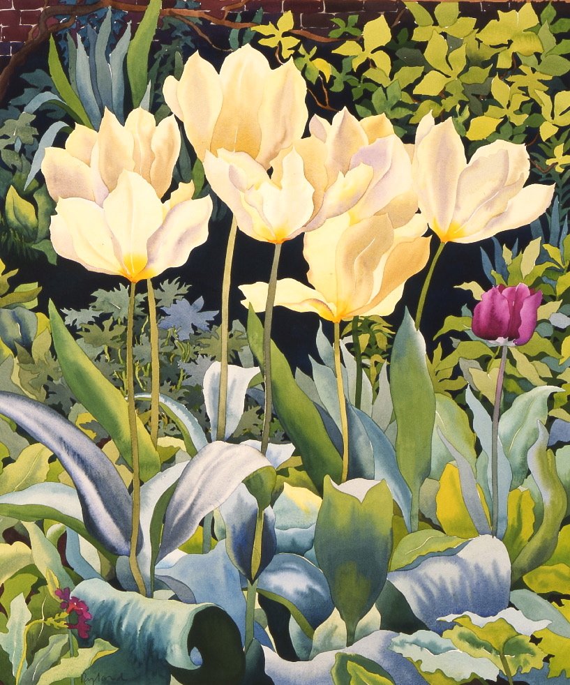 Blasse Tulpen von Christopher Ryland