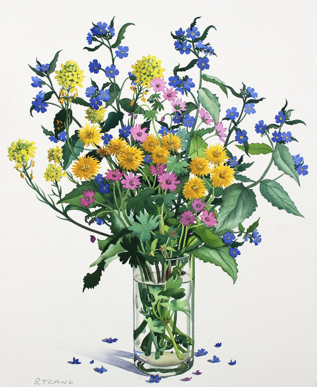Wildblumen mit Alkanet, 2021 von Christopher Ryland
