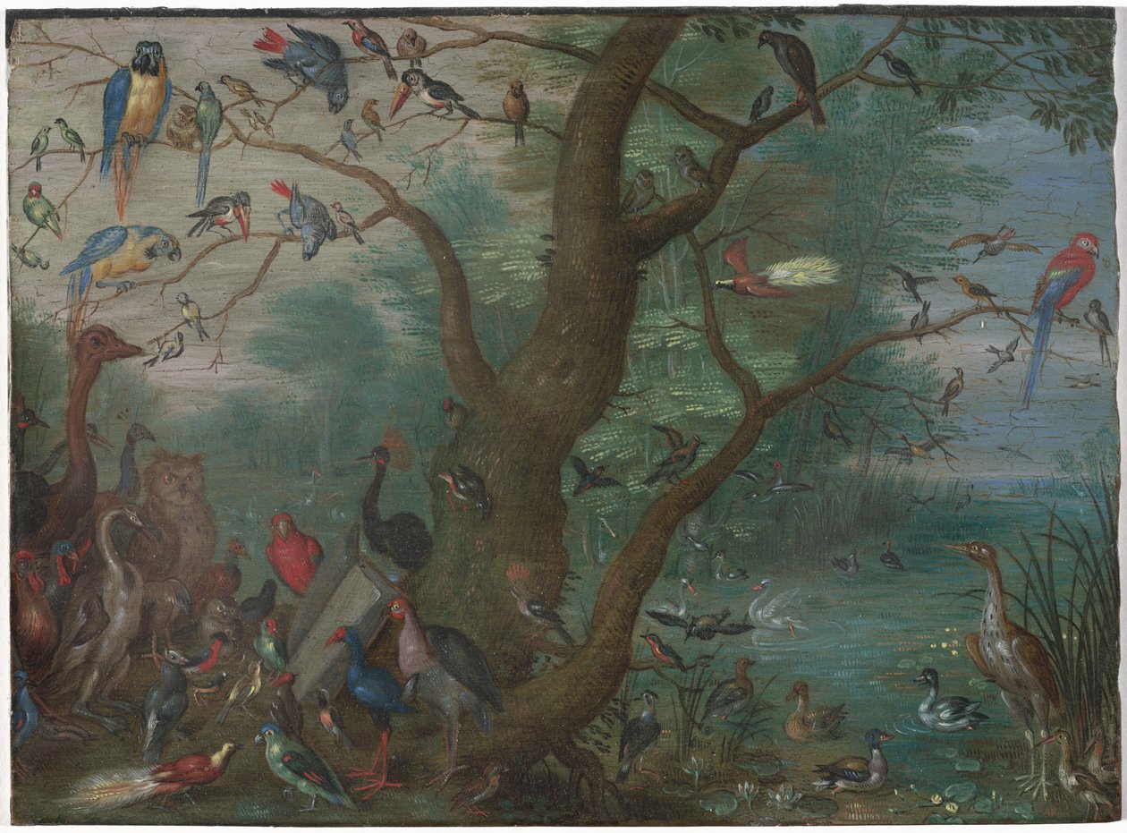 Konzert der Vögel von Circle of Jan van Kessel the Elder