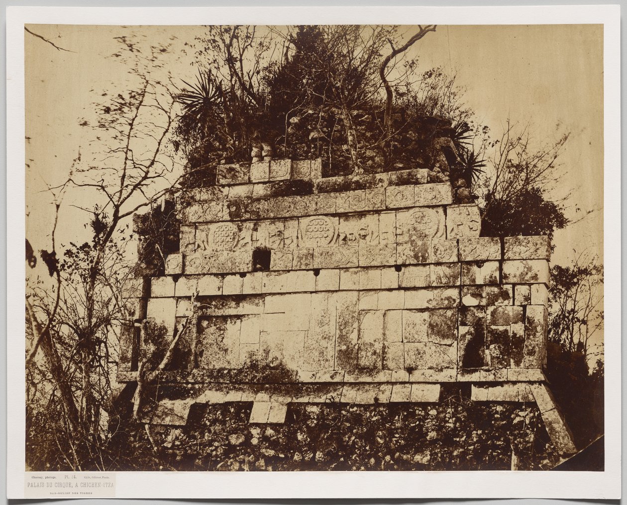 Palast des Zirkus in Chichen-Itza (Basrelief der Tiger) von Claude Joseph Désiré Charnay