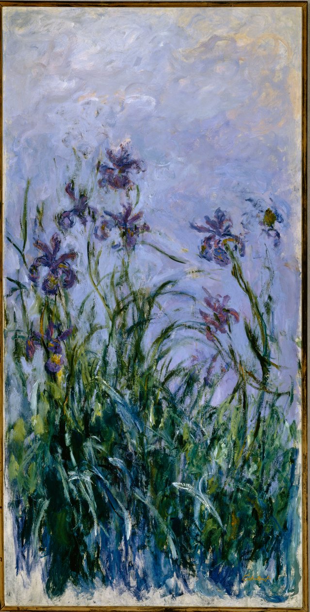 Lila Schwertlilien, 1914-17 von Claude Monet