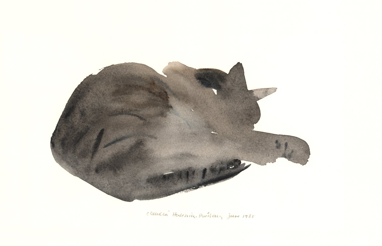 Schlafende Katze, 1985 von Claudia Hutchins Puechavy