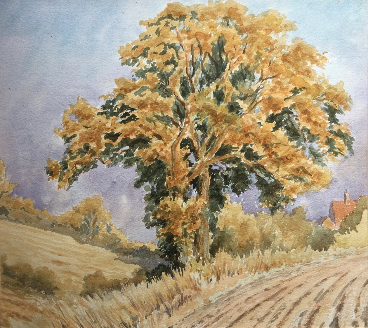 Erntesonnenuntergang, North Denford von Clive Wilson