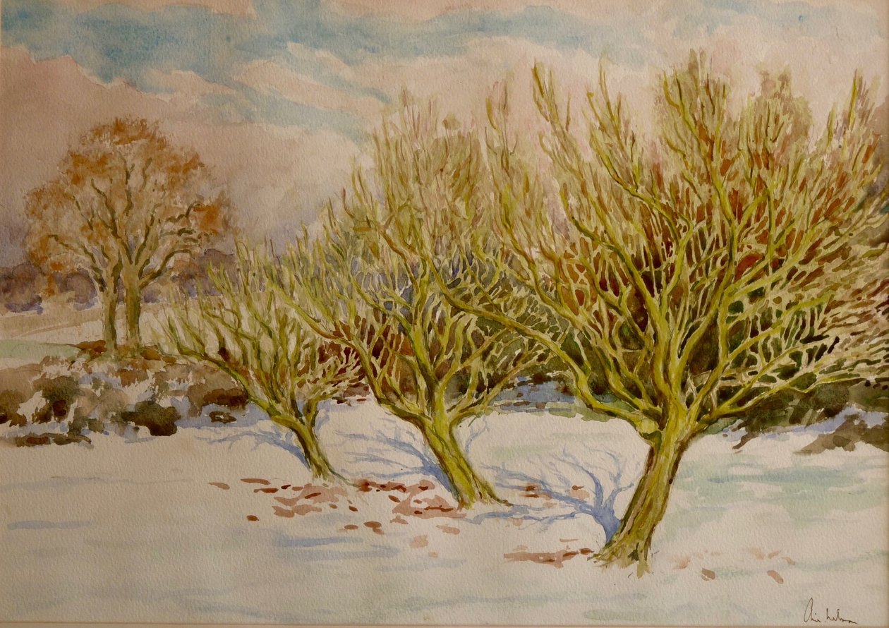 Der Obstgarten, Januarsonne, 2000 von Clive Wilson