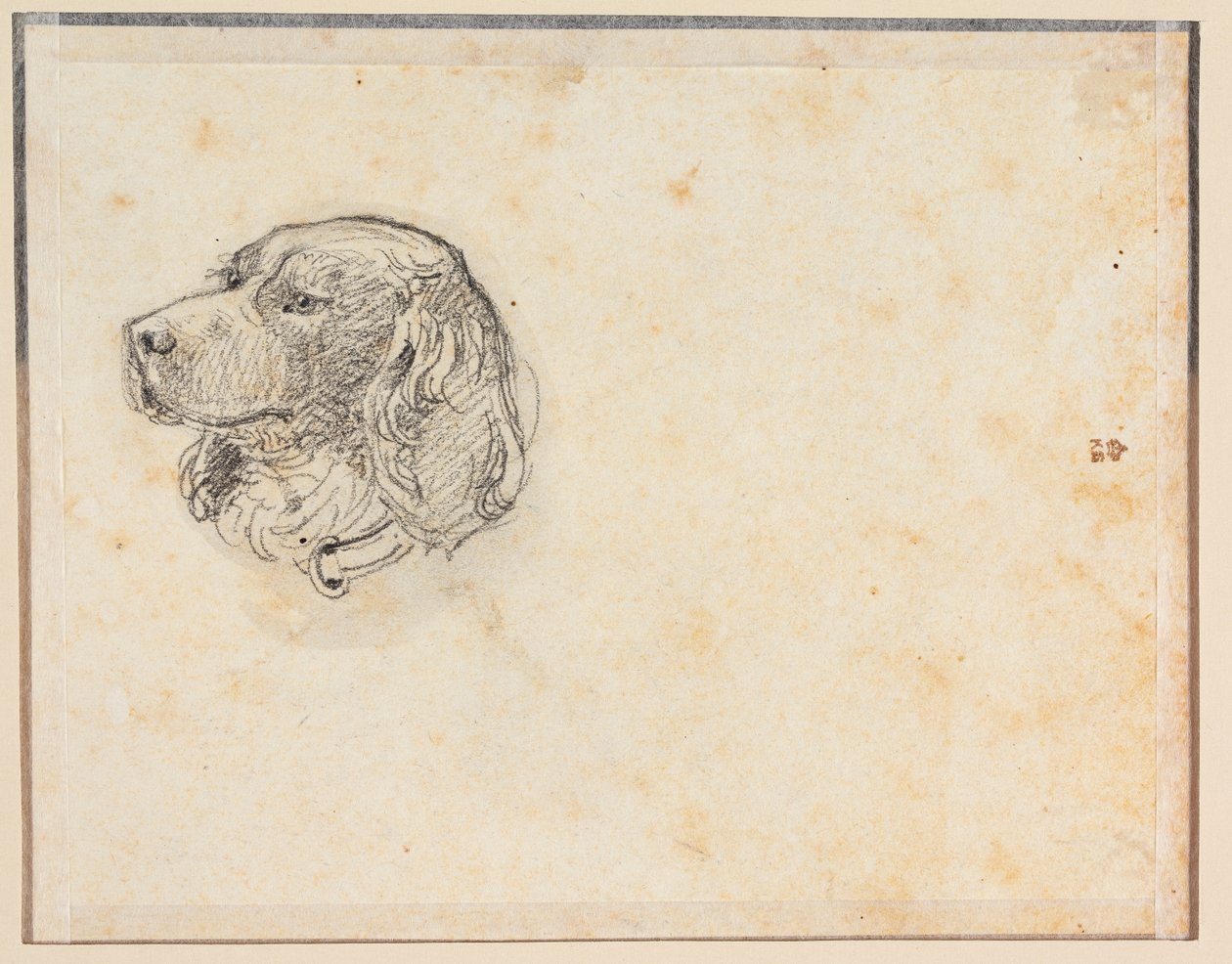 Ein Hundekopf von Constantin Hansen