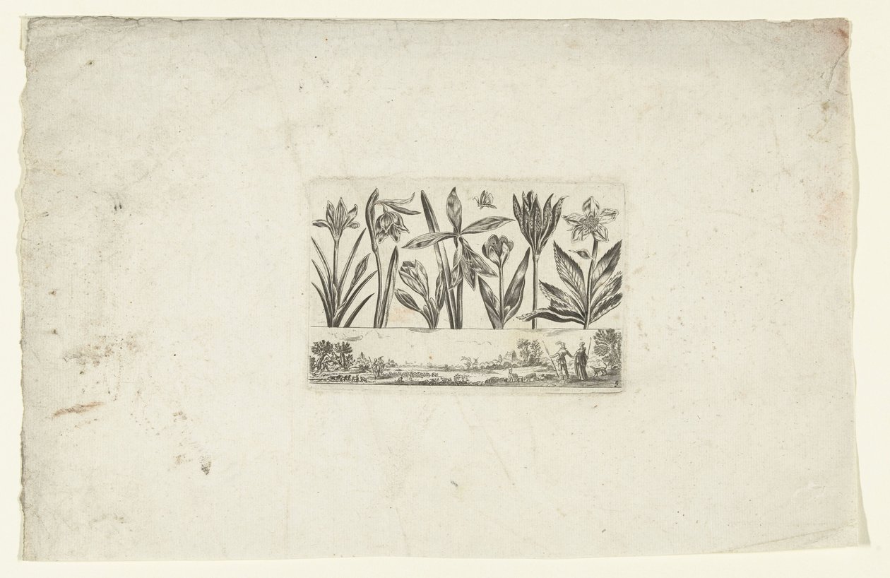 Reihe von Blumen über Landschaft von Cornelis Danckerts (I)