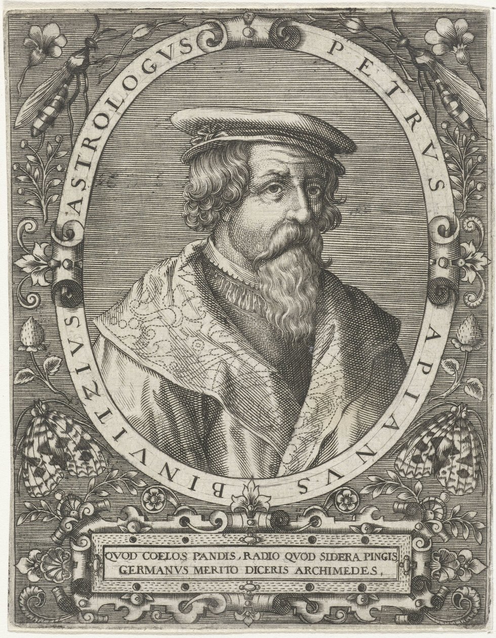 Porträt von Petrus Apianus (Petrus Apianus Binuitzius) von Cornelis Galle (I)