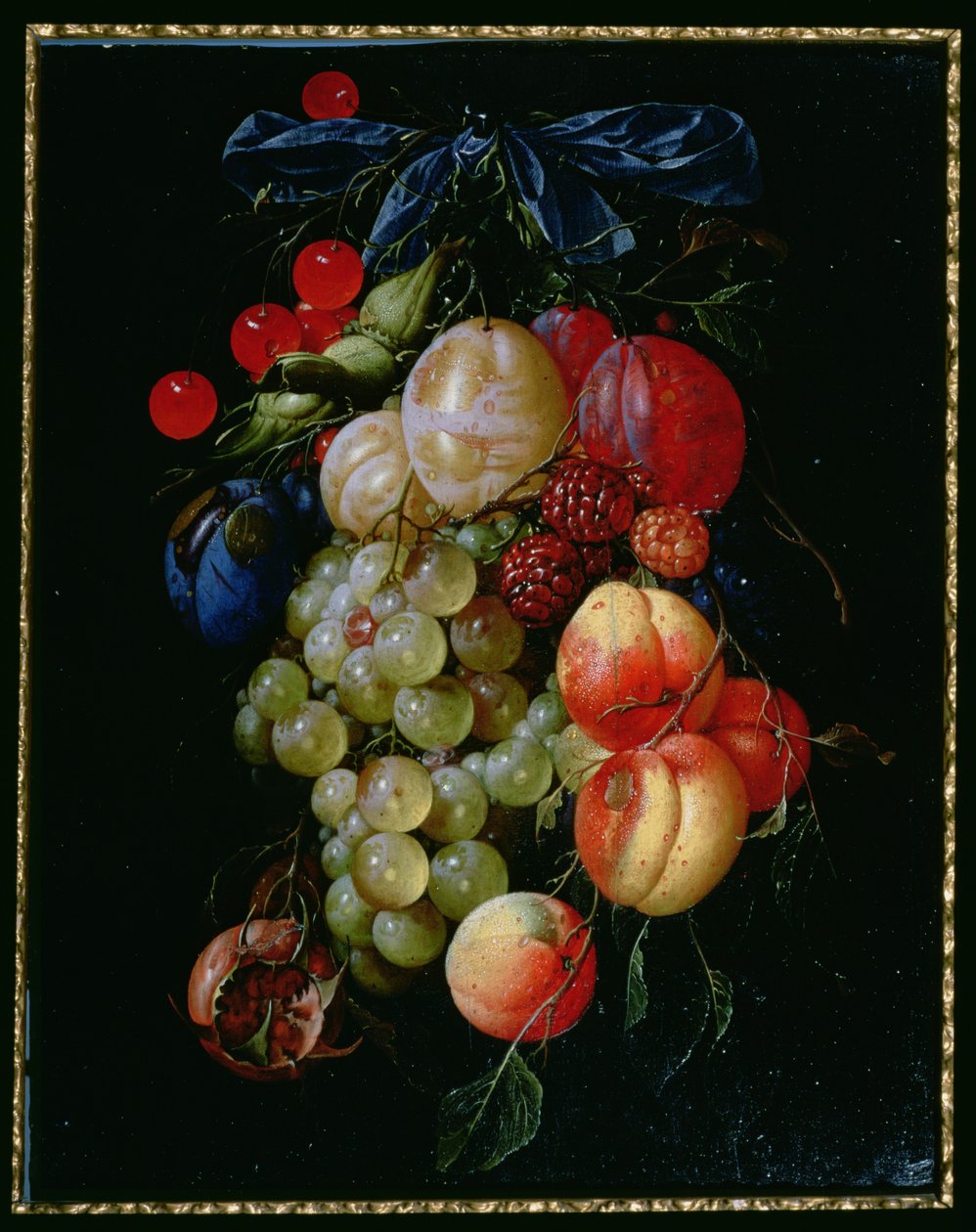 Ein Fruchtkranz von Cornelis de Heem