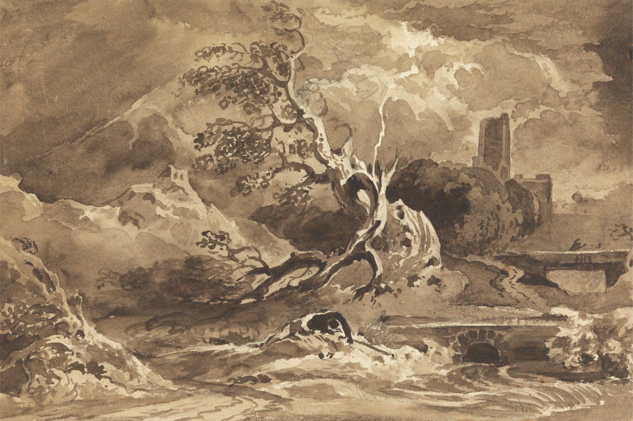 Ein vom Blitz getroffener Baum von Cornelius Varley