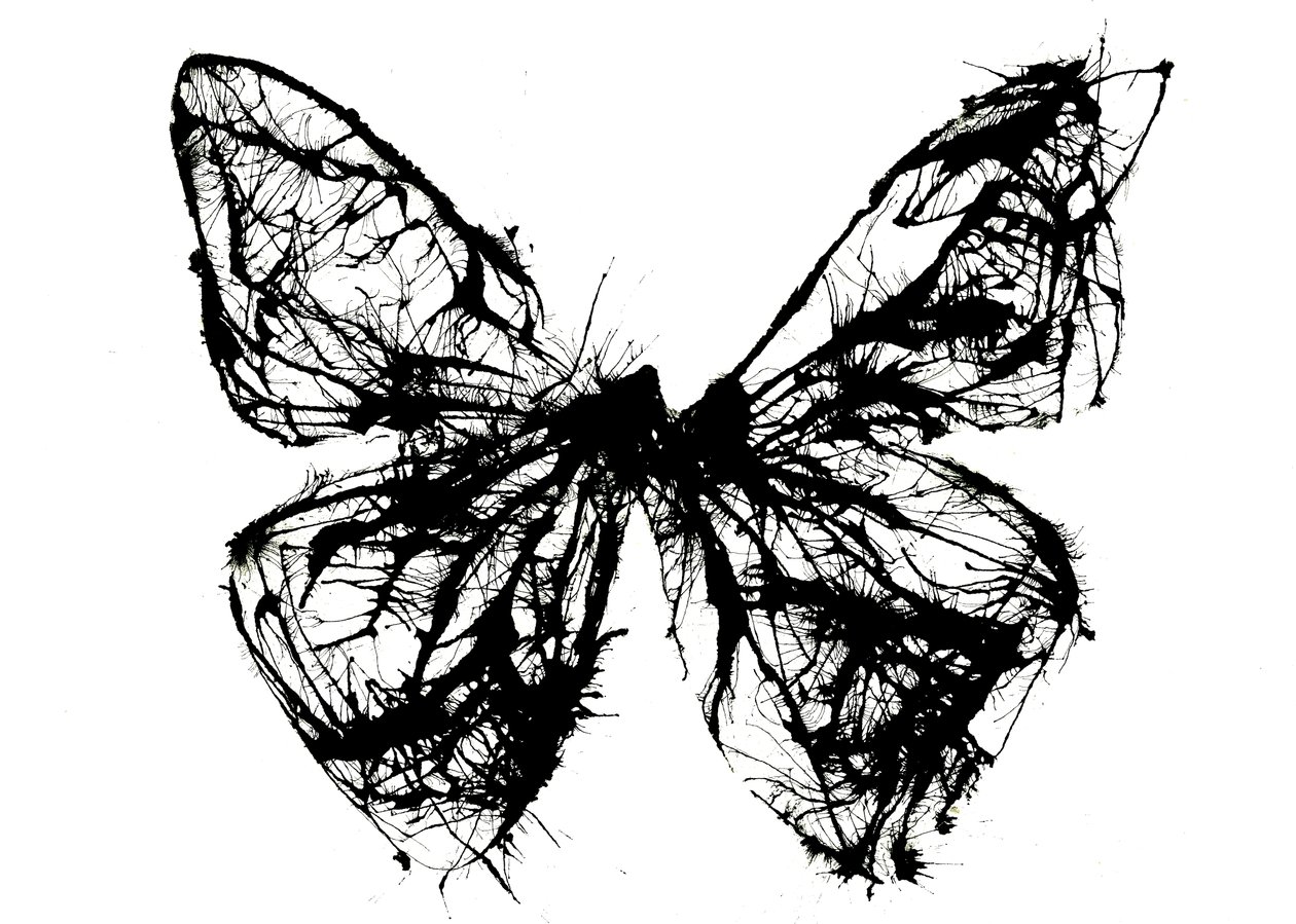 Schwarzer Schmetterling, 2021 von Courtenay Kusitor