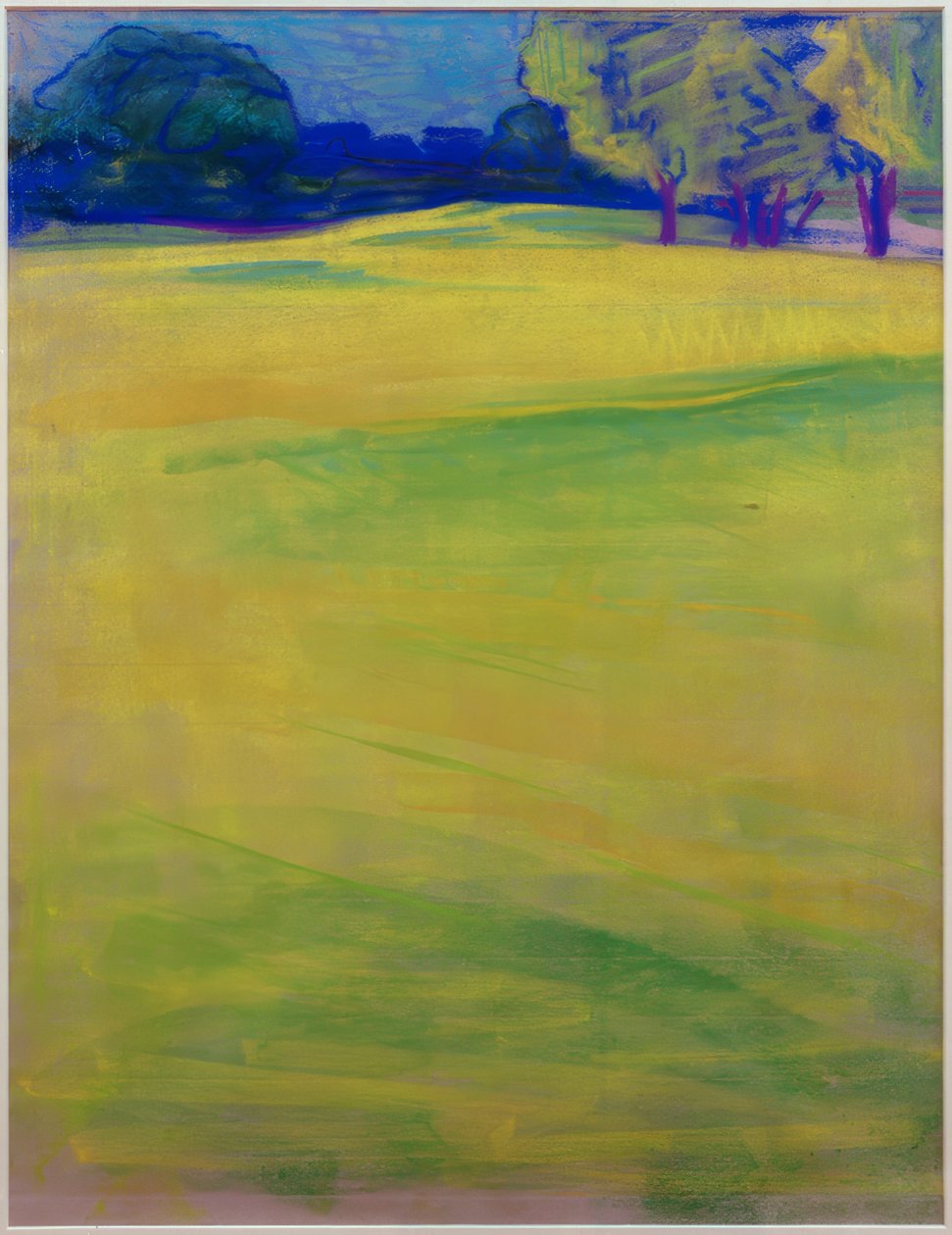 Wiesenlandschaft vor Bäumen und Dorf von Curt Herrmann