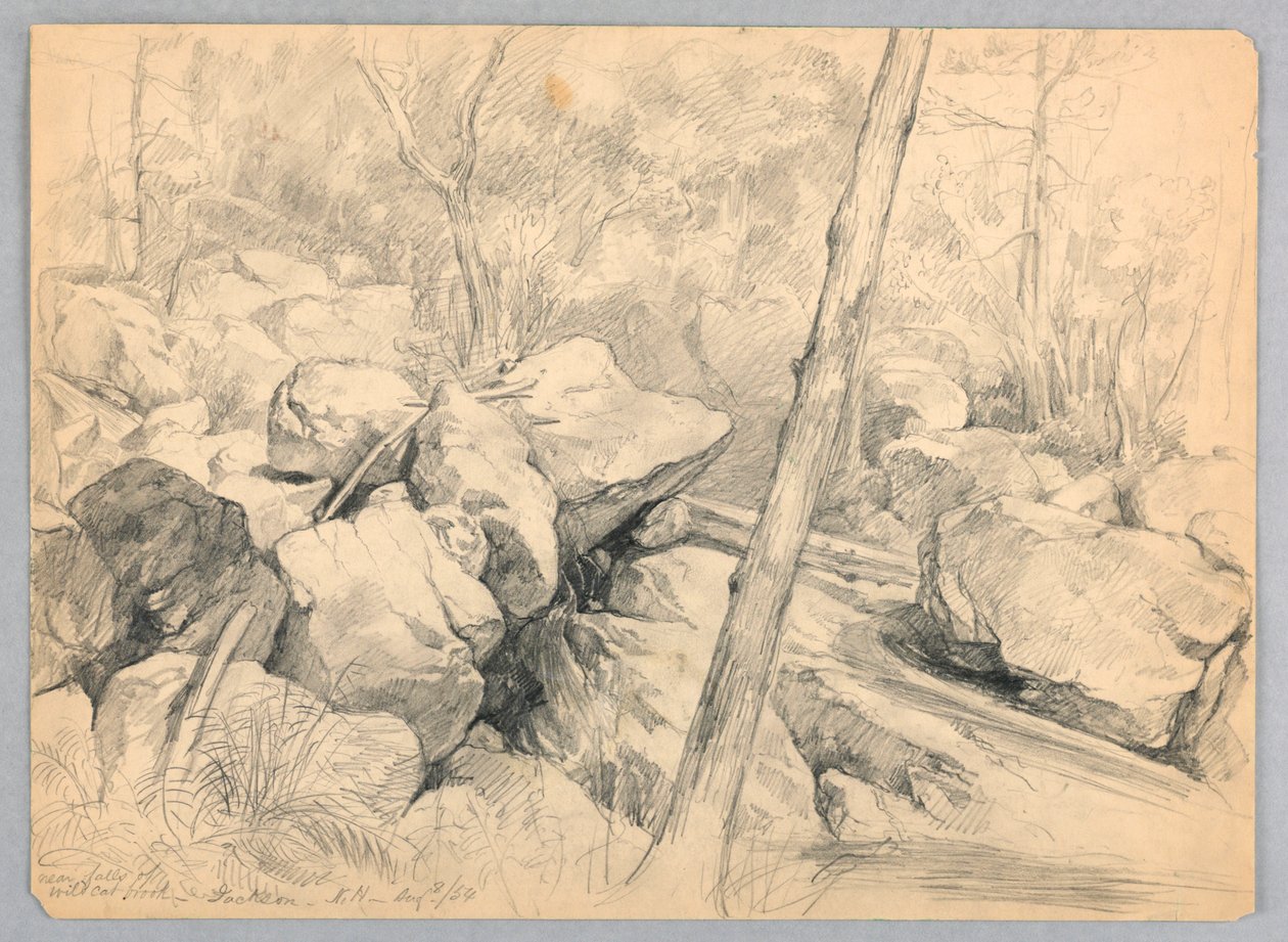 In der Nähe der Wasserfälle des Wildcat Brook, Jackson, New Hampshire von Daniel Huntington