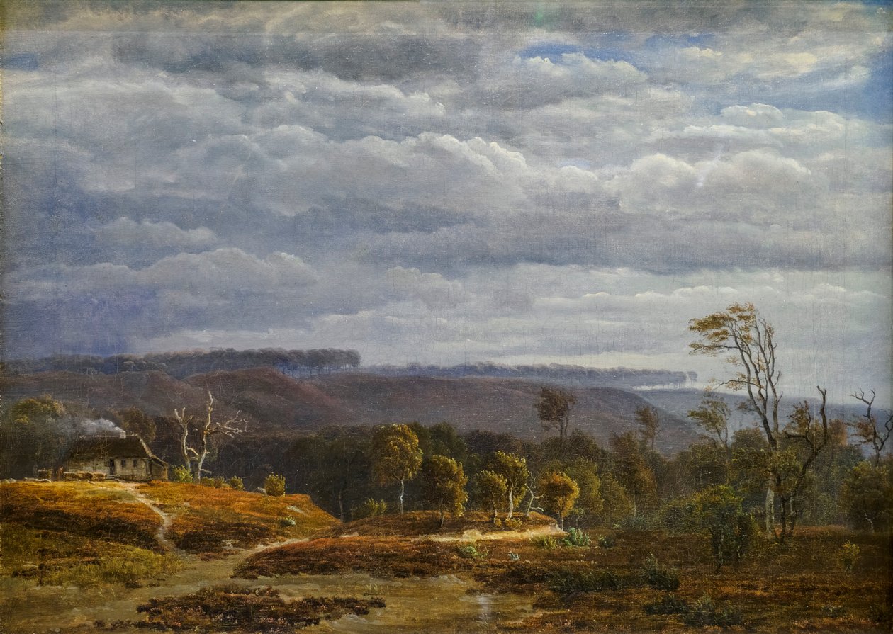 Ansicht einer bewaldeten Landschaft in Jütland von Dankvart Dreyer