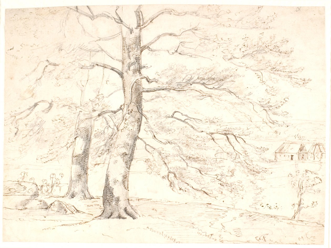 Aussicht über eine Landschaft, im Vordergrund große Buchen von Dankvart Dreyer