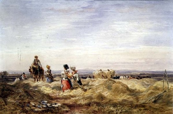 Im Heufeld von David Cox