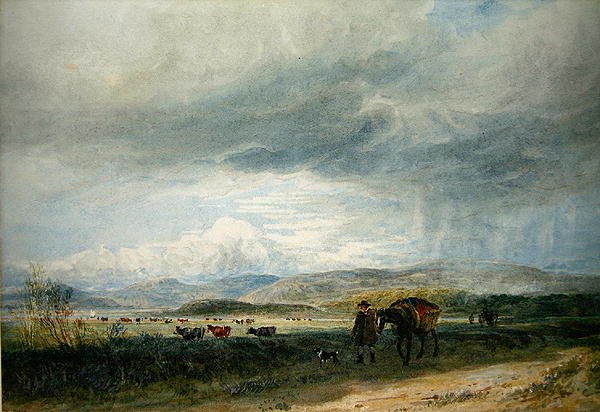 Ludwea Wiesen von David Cox