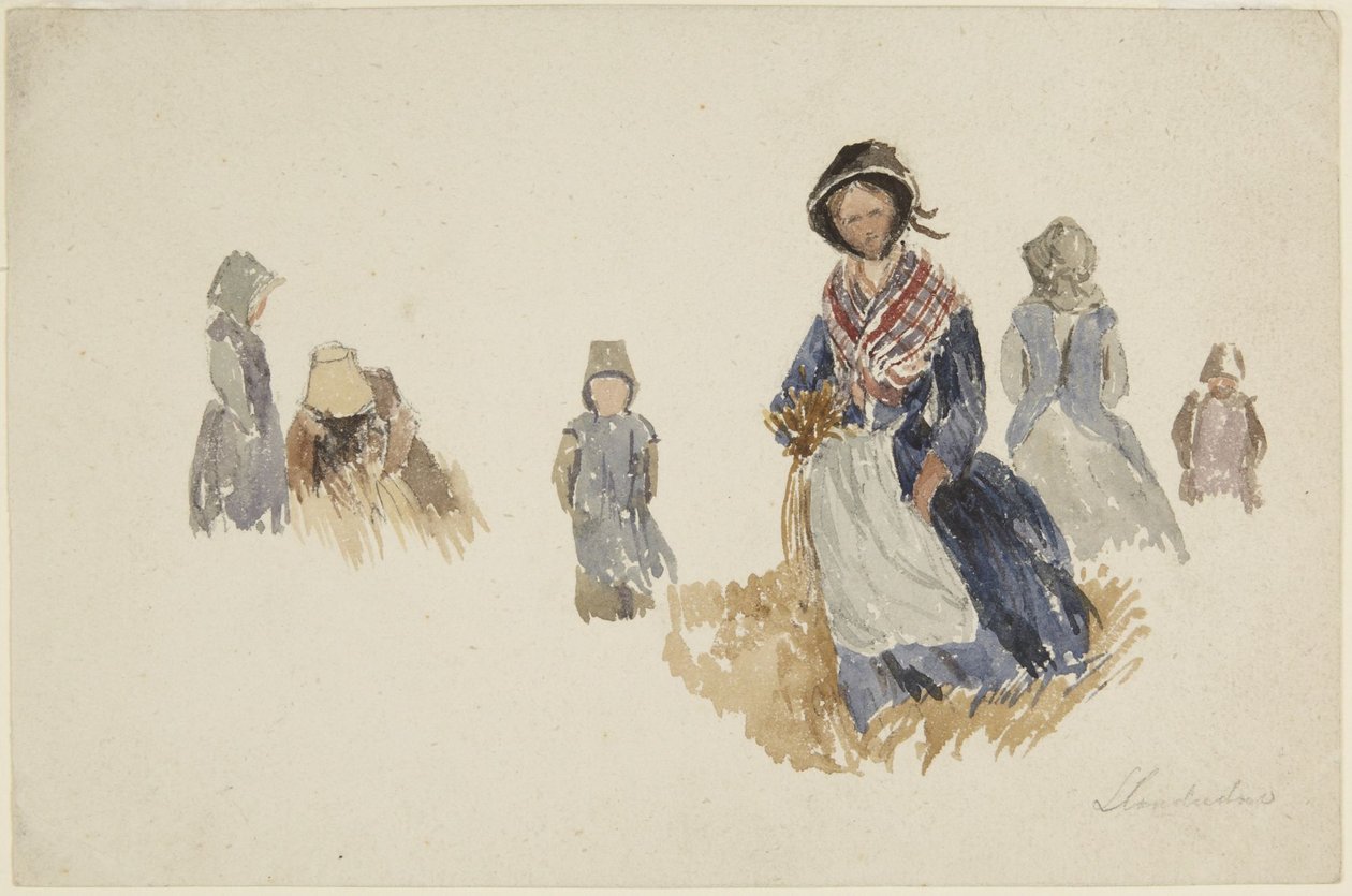 Frauenstudien von David Cox