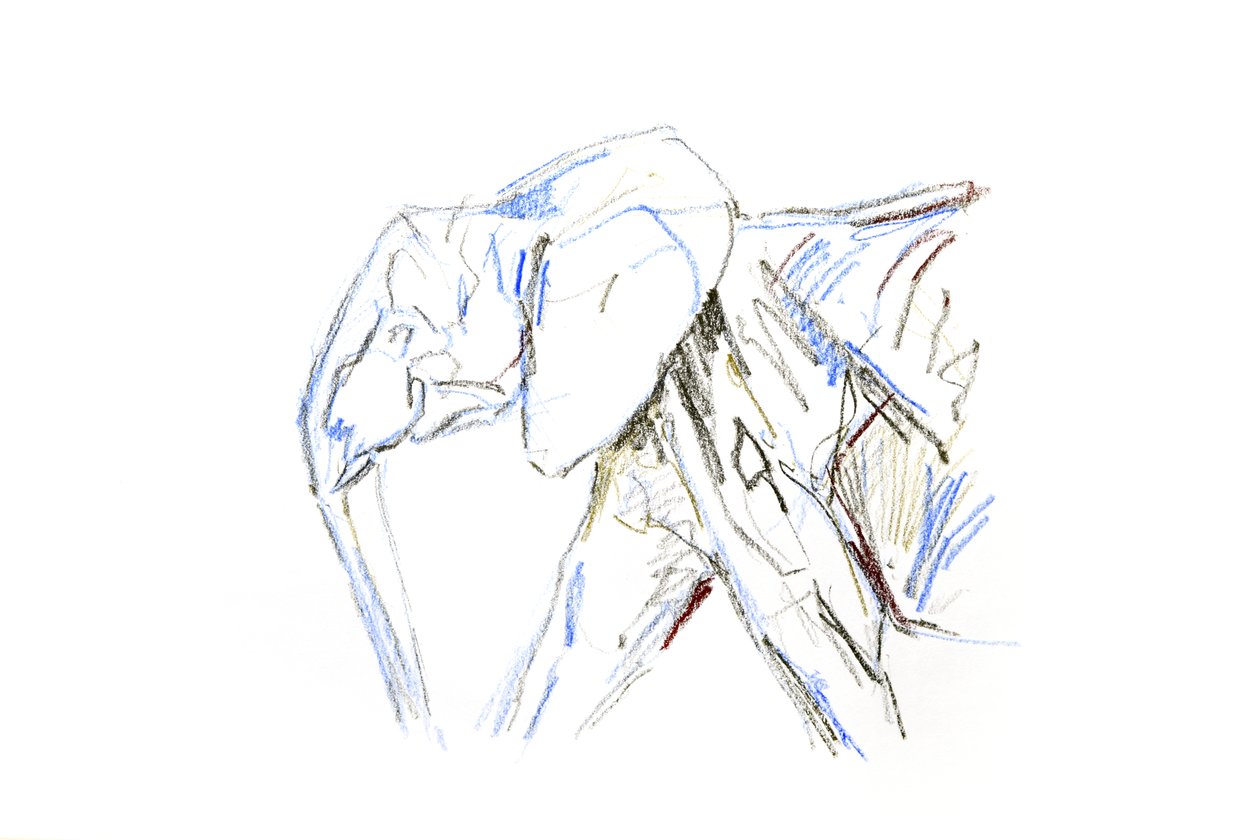 Afrikanischer Elefant, 2021 von David Mayer
