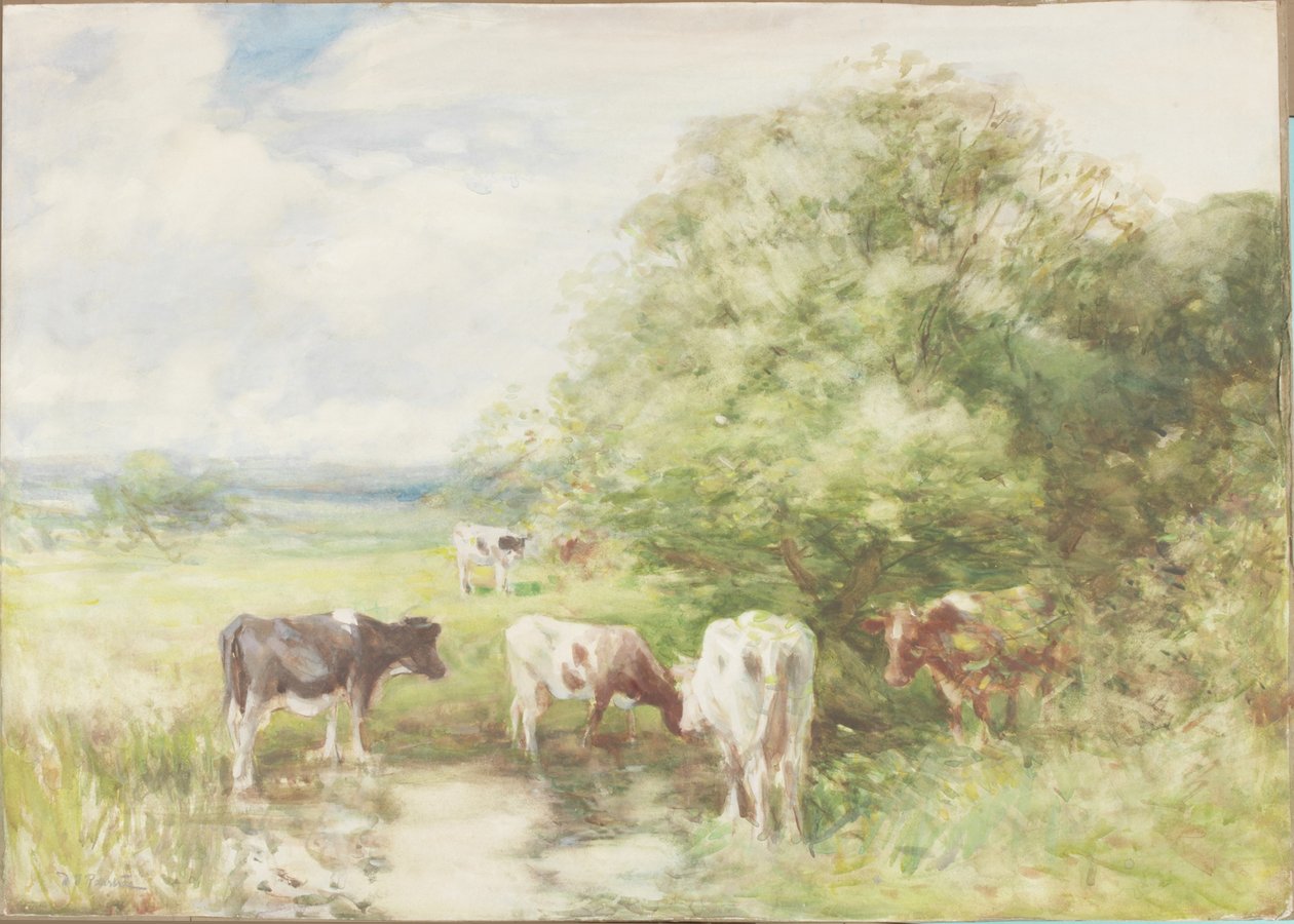 Der schattige Teich von David T. Robertson