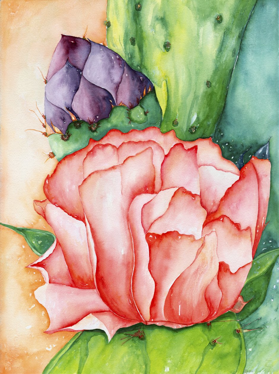 Wüstenblüte von Deborah Eve Alastra