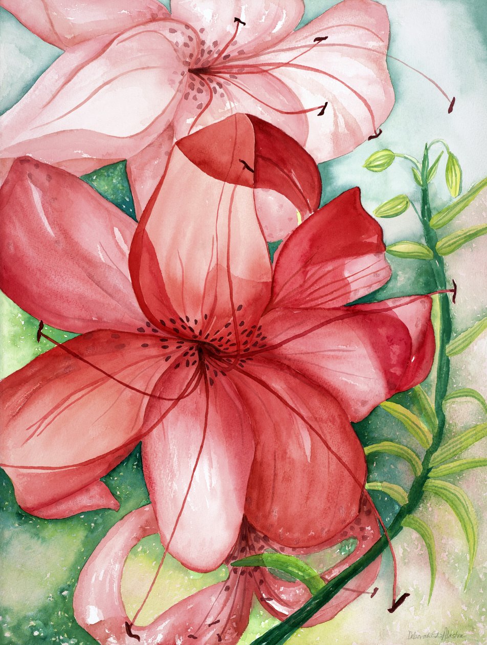 Tigerlilie, 2007 von Deborah Eve Alastra