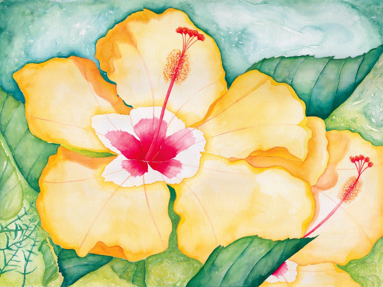 Gelber Hibiskus, 2006 von Deborah Eve Alastra