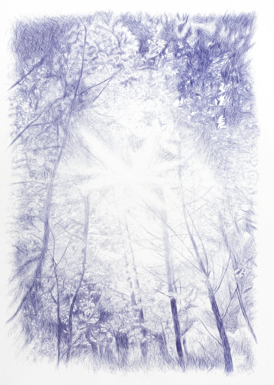 Gegenlicht, 2024 von Diego Beyro