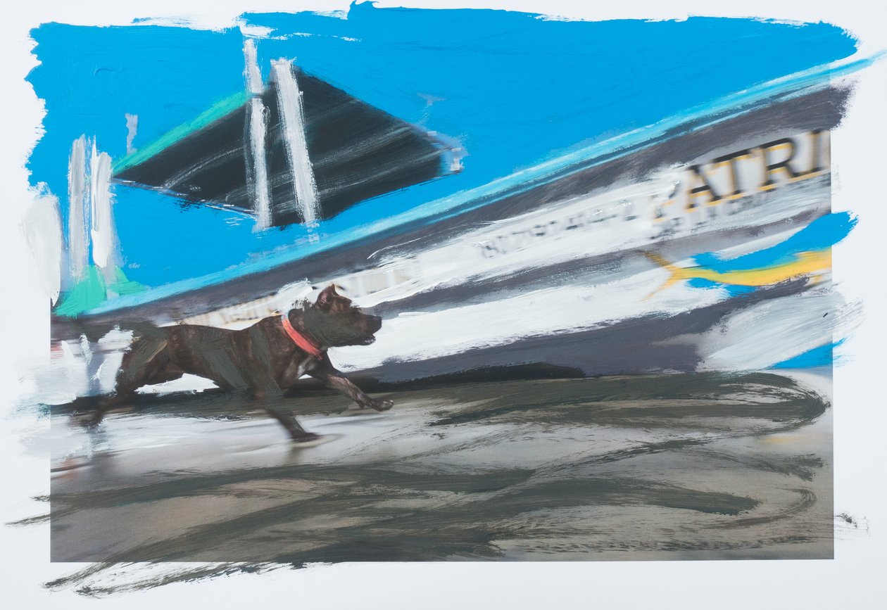 Hund in Sayulita von Diego Beyro