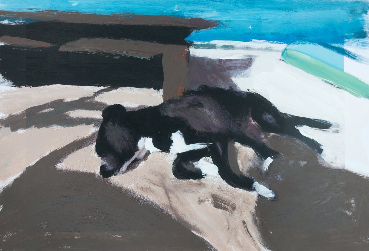 Hund auf einer Insel 01 von Diego Beyro