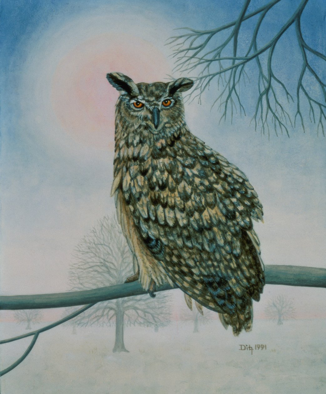 Winter-Eule von Ditz