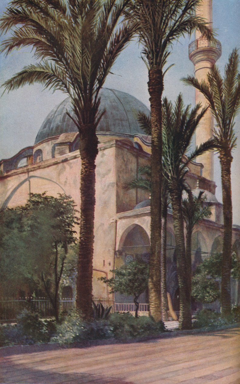 Palästina, ca. 1930er von Donald McLeish