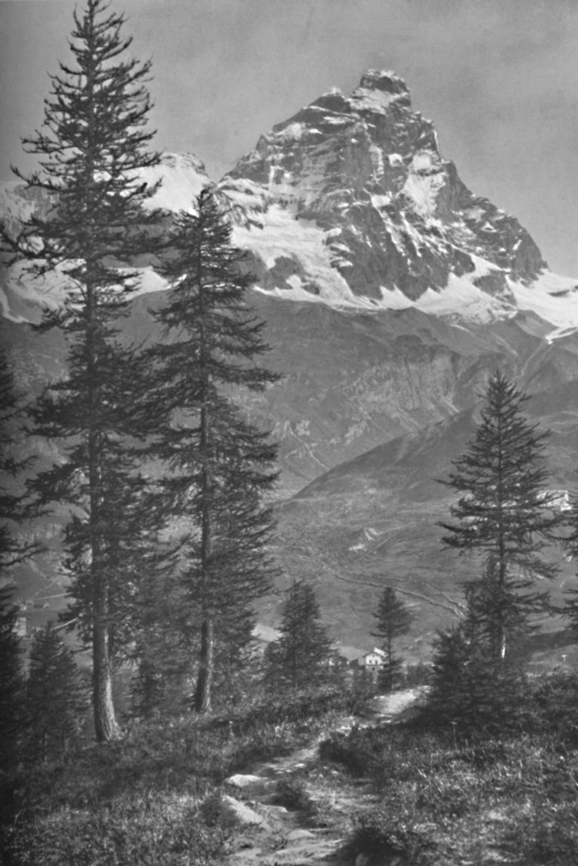 Das Matterhorn von der italienischen Seite, Wald von Brueil, 1917 von Donald McLeish