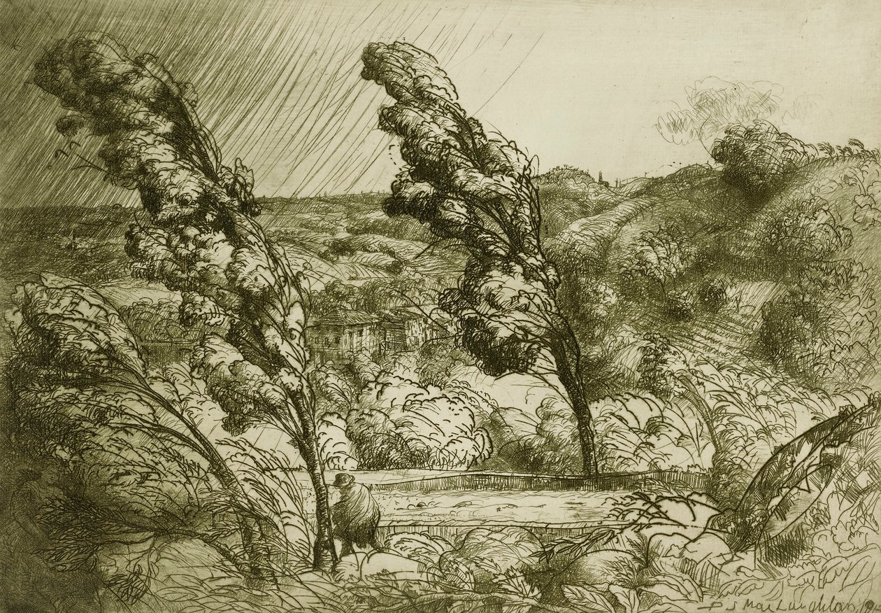 Der Sturm von Donald Shaw MacLaughlan