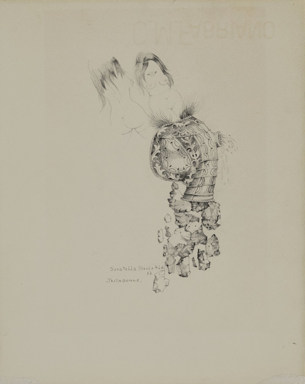 Die Frauenschredderin von Donatella Merlo